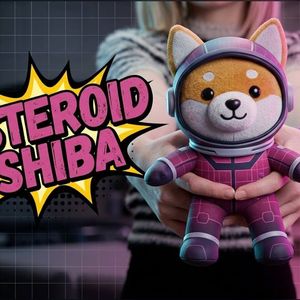 What is Asteroid Shiba Crypto? Elon Musk SpaceX New Mascot?
