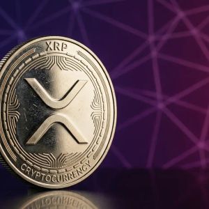 XRP News: Ripple CTO Backs John Deaton’s Senate Bid with XRP Donation