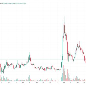 Dogecoin Price Prediction as DOGE Blasts Up 5% After $800 Million Trading Volume Comes In – Here’s Where DOGE is Going Next