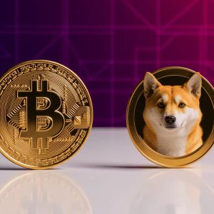 Bitcoin and Dogecoin Remain Elon Musk Favorite Crypto: Best Crypto to Buy Now?