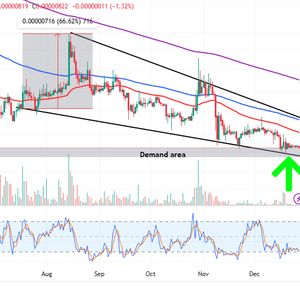 Shiba Inu Price Prediction as Original Dog Behind Meme Becomes Unwell – Sell-Off Incoming?