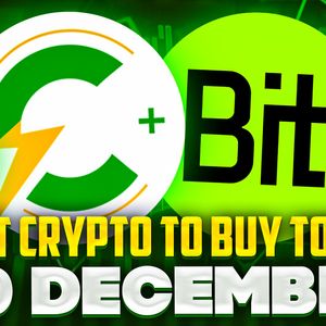 Best Crypto to Buy Today 30 December – FGHT, BIT, D2T, TON, CCHG