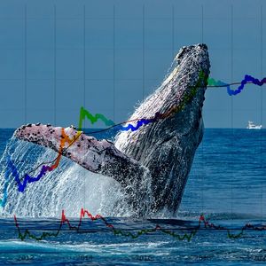 Crypto Whales Believe These Altcoins Have Huge Potential – Find Out Why
