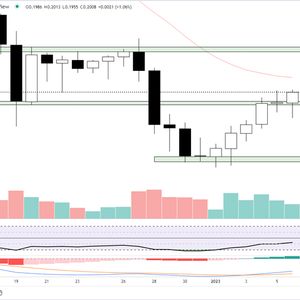 Best Crypto to Buy Today 6th January – FGHT, XMR, D2T, LRC, CCHG, HNT