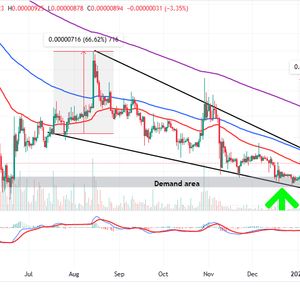 Shiba Inu Price Prediction - Can This Meme Coin Deliver for Crypto Bulls in 2023 as Price Edges Higher?