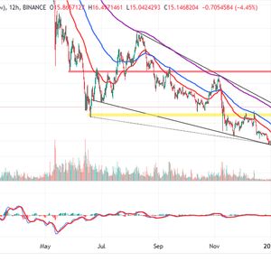 Avalanche Price Prediction - This is Why AVAX is Pumping 25% and There's Much More to Come