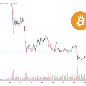 After Bitcoin Price Rallies 12% to $19k is it Time to Buy Top Crypto Coin?