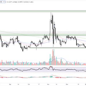 How Polygon Hard Fork Will Boost Network Performance and MATIC Price