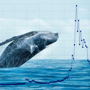 Crypto Whales are Adding These Cryptos to Their Holdings – Here’s Why