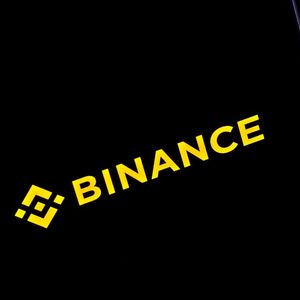 Binance Crypto Exchange Admits to Mixing Customer Funds with Collateral for Binance-Issued Tokens