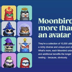 Moonbirds NFT Creator Loses $1 Million Almost Instantly After Wallet Hack – Here’s What Happened