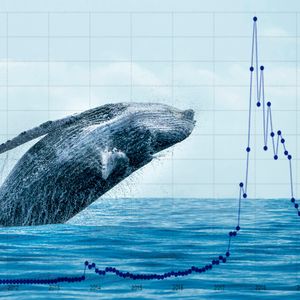 Crypto Whales Believe These Altcoins Will Take the Crypto World by Storm – Find Out Why