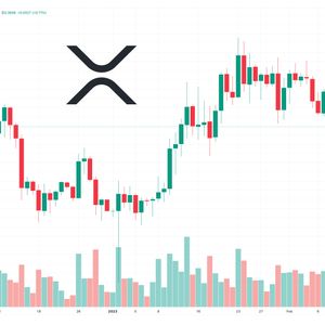 XRP Price Prediction as XRP Whale Activates Wallet With 30 Million Tokens – What’s Going On?