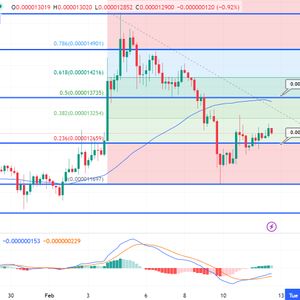 Shiba Inu Price Prediction as $300 Million Trading Volume Floods In – How High Can SHIB Go in 2023?