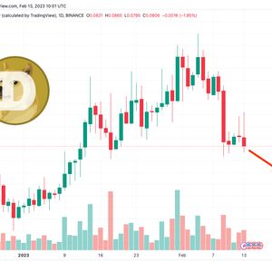 Dogecoin Price Prediction as Elon Musk Talks to Fox News Owner About Dogecoin During SuperBowl – Time to Buy?