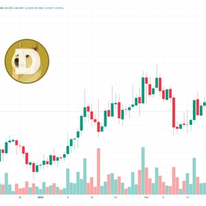 Dogecoin Price Prediction as $600 Million Trading Volume Comes In – Are Whales Buying?