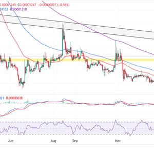 Shiba Inu Price Prediction as $300 Million Trading Volume Comes In – Is It Time to Buy?