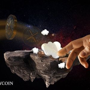 Ripple's Legal Chief Brushes Off SEC Appeal Threat with Confidence