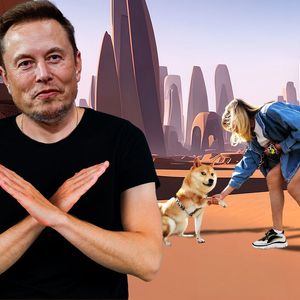Dogecoin Community Hyped: Musk Denies Making New Coin for X