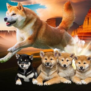 Shiba Inu Wallet Addresses Achieve New Heights in Weekly Run