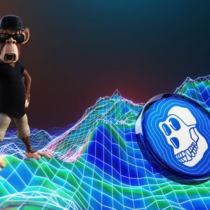 ApeCoin Bounces Back from All-Time Lows on Big Whale Support