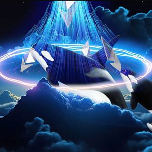 Crypto Whale Nightmare: $24M Lost in Massive Phishing Scam