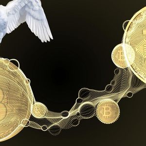 Swan Bitcoin on the Defensive Following Fortress Hack