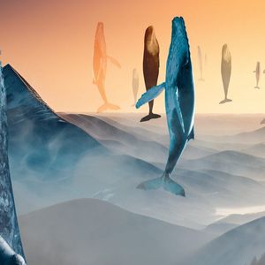 ETH ICO Wallet Linked to Dev Joins Buterin, Whales in $31M Move