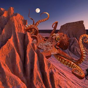 Kraken Stumbles into Legal Crosshairs In Australia