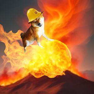 Shiba Inu's Triumphant Return Trips at 59% Shibburn Drop