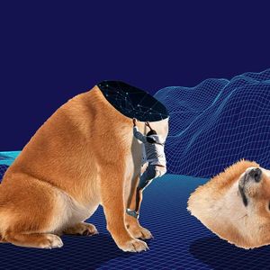 Unsettling SHIB Telegram Hack Sends Shockwaves Through Community