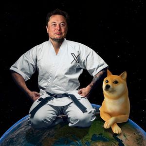 SEC vs. Musk: Here’s How Subpoena Drama May Affect DOGE's Price
