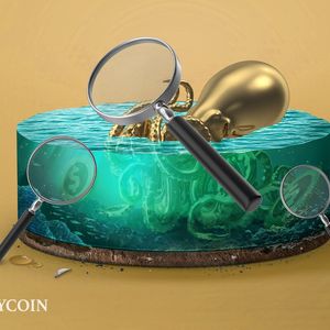 Mystery Surrounds $33.9 Million Tether Flood into Kraken