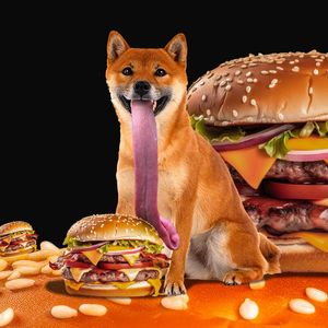 Shiba Inu’s Welly Store Reveals Layout, Teases Launch Date