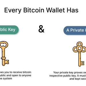 What is a Wallet? Guide to storing Bitcoin