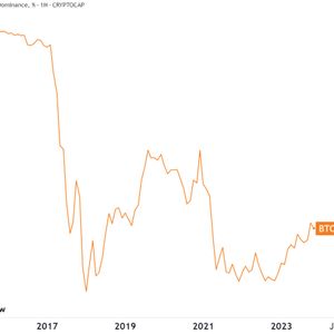 Diving Deep Into The Maximalist Mindset: Understanding Bitcoin's Unique Appeal