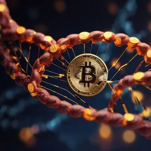 Saving Seeds in DNA: Bitcoin as Information