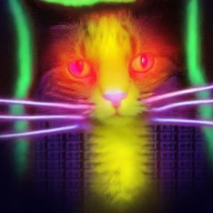 The Technical Architecture of the Quantum Cats