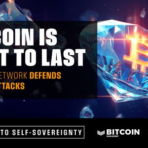 Bitcoin Is Built To Last: How The Network Defends Against Attacks