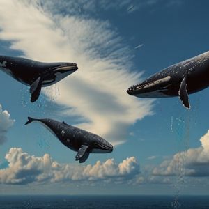 Are Bitcoin Whales Buying The Dip?