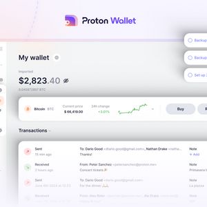 Proton Wallet Review: A Bitcoin Software Wallet That Simplifies Transactions