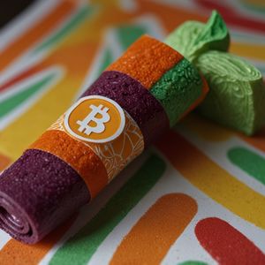 Bitcoin Rollups - The Rock Or The Hard Place?