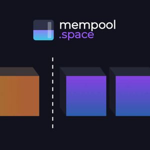 The Bitcoin Mempool Drama Was All Too Predictable