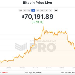 Bitcoin's Price Does Matter — A Lot