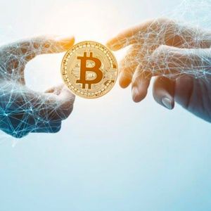 Protect Your Non-Custodial Bitcoin Wallet — Support The Open Dialogue Foundation