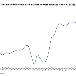 Data Suggests Bitcoin Miners Have Capitulated, Bottom Is Close