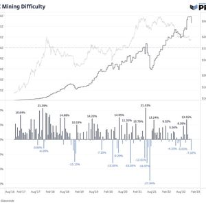 Public Bitcoin Miners Fight For Survival