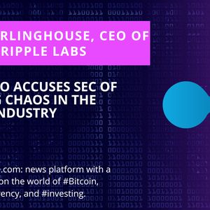 Ripple CEO Blames SEC for Creating a Mess