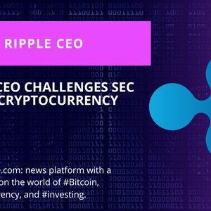 Ripple CEO Slams SEC for its Crypto Policies