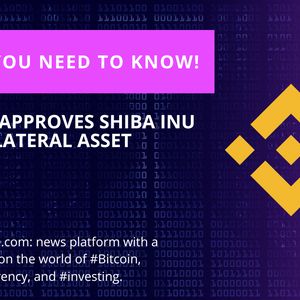 Binance has Greenlit Shiba Inu as Collateral Asset
